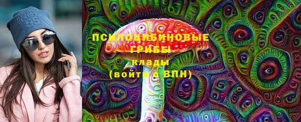 бошки Аркадак
