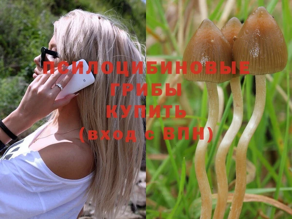 apvp Чегем