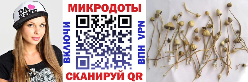 Псилоцибиновые грибы GOLDEN TEACHER  что такое   Брянск 