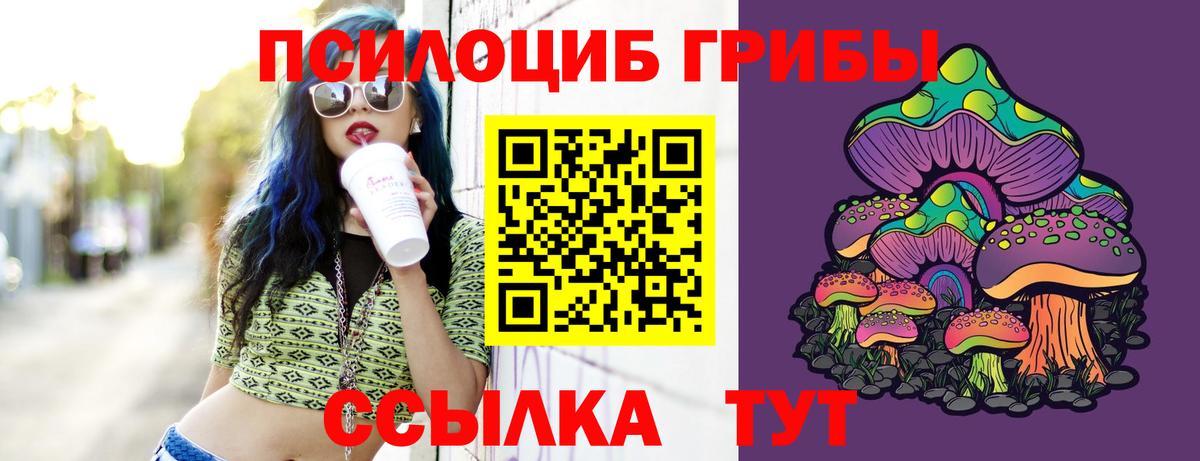 Галлюциногенные грибы прущие грибы Брянск