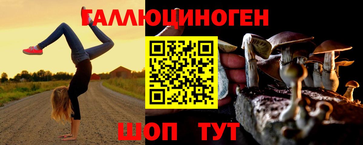 Брянск  Псилоцибиновые грибы мицелий  Вход с VPN  Галлюциногенные грибы MAGIC MUSHROOMS 